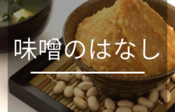 味噌のはなし